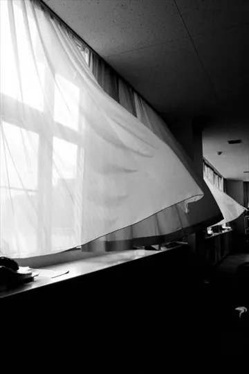 Reisen & Welt — Timo Frazier